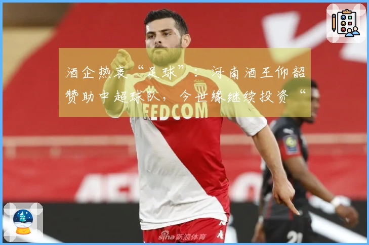 酒企热衷“足球”：河南酒王仰韶赞助中超球队，今世缘继续投资“苏超”