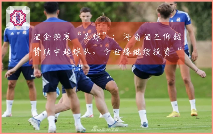 酒企热衷“足球”：河南酒王仰韶赞助中超球队，今世缘继续投资“苏超”