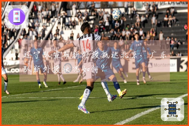 辽宁队宣布新外援抵达北京，广东队新外援状况如何？